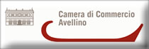 vai alla sezione Statistica, studi e prezzi della CCIAA di Avellino